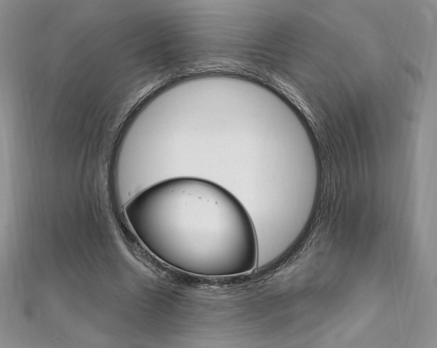 X0000112020538200908031044