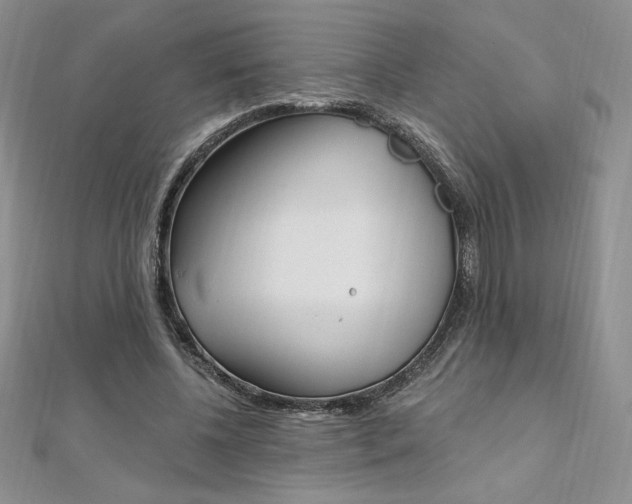 X0000112020540200908031044