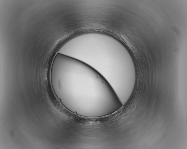 X0000112020543200908031044