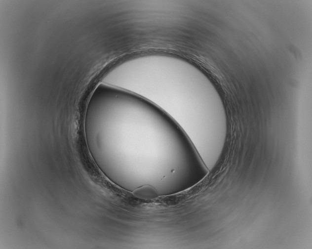 X0000112020544200908031044