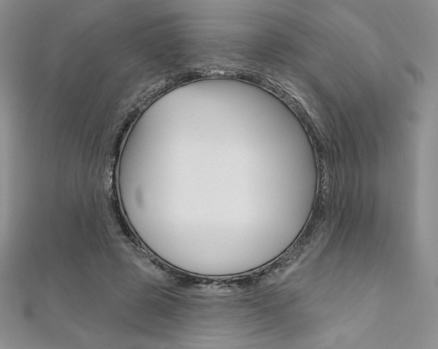 X0000112020545200908031044
