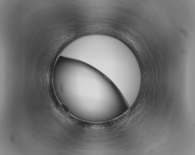 X0000112020546200908031044