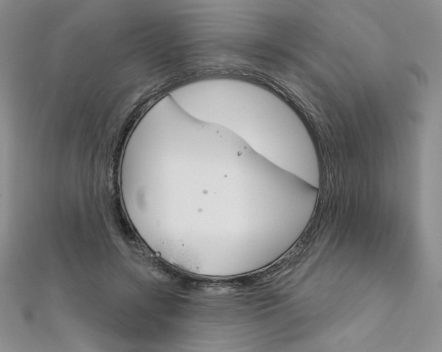 X0000112020547200908031044