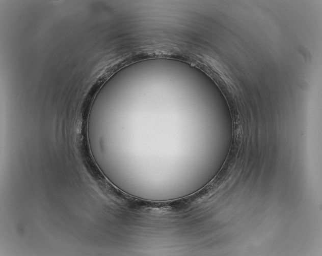 X0000112020548200908031044
