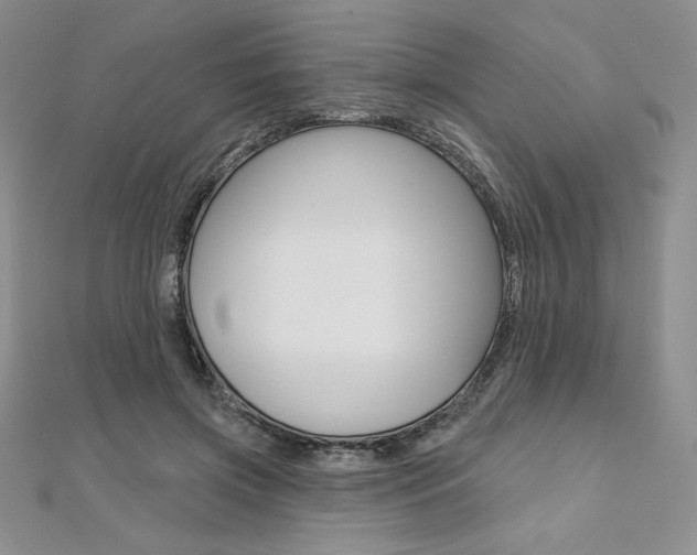X0000112020549200908031044