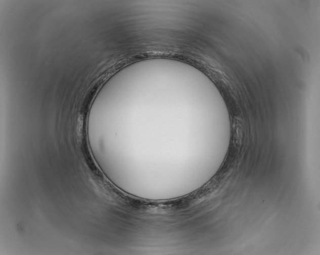 X0000112020550200908031044