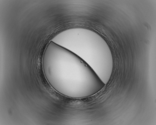 X0000112020551200908031044