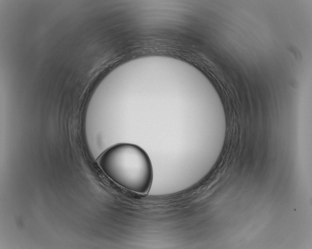 X0000112020552200908031044