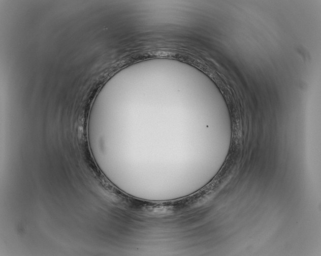 X0000112020553200908031044