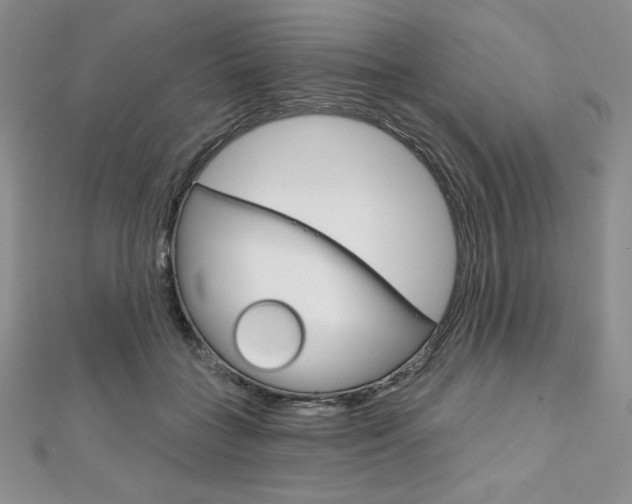 X0000112020555200908031044