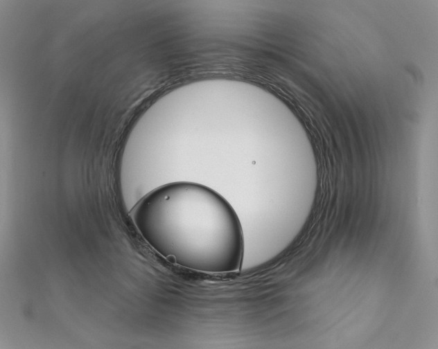 X0000112020556200908031044