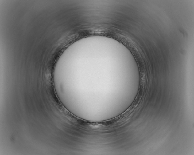 X0000112020557200908031044