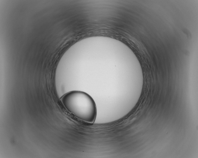 X0000112020558200908031044