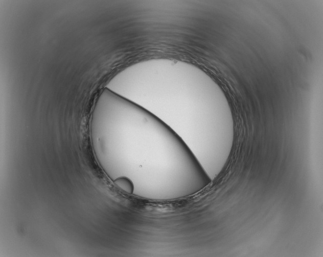 X0000112020559200908031044