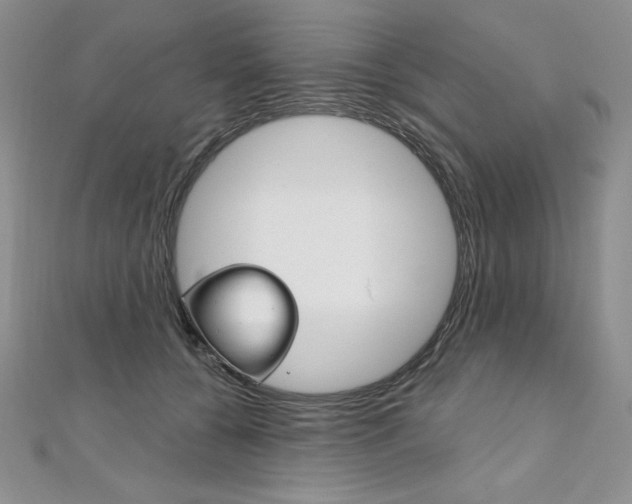 X0000112020560200908031044