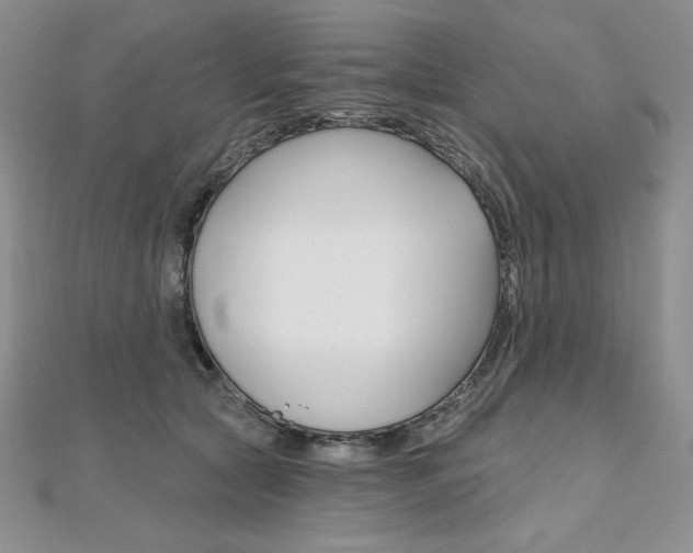 X0000112020561200908031044