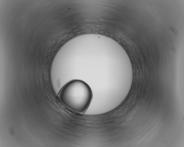 X0000112020562200908031044