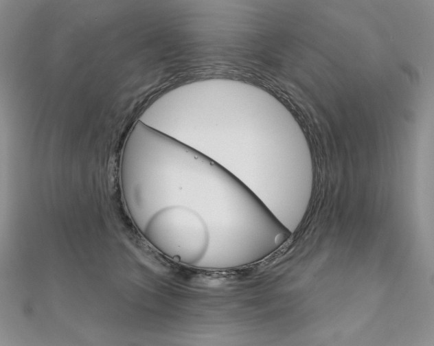 X0000112020563200908031044