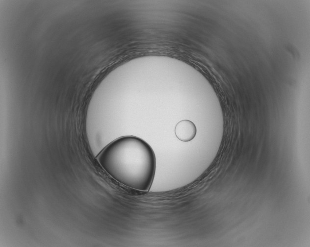 X0000112020564200908031044