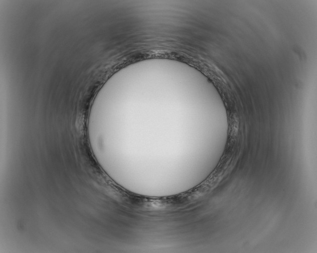 X0000112020565200908031044
