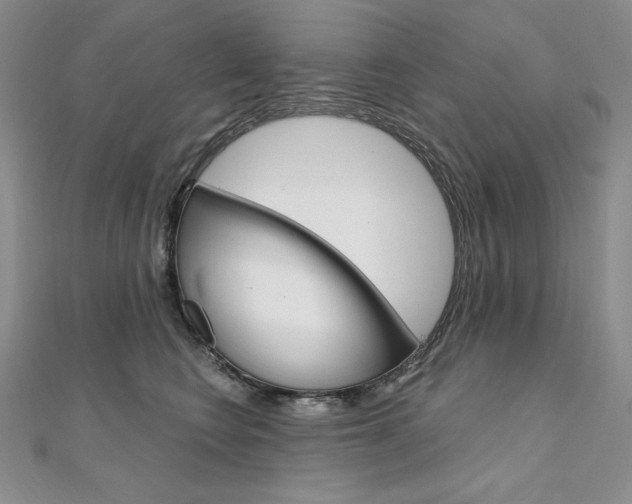 X0000112020566200908031044