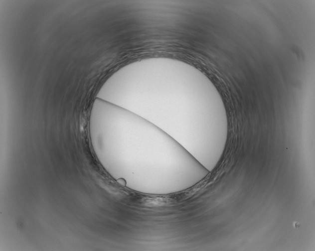 X0000112020567200908031044