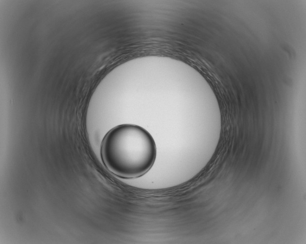 X0000112020568200908031044