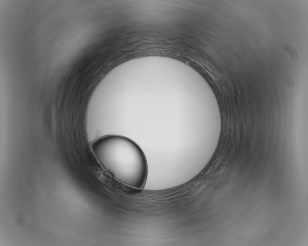 X0000112020572200908031044