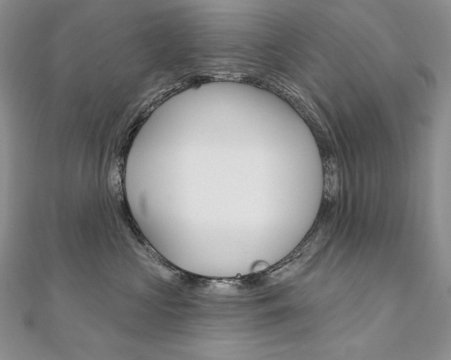 X0000112020573200908031044