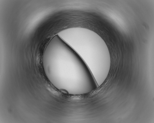 X0000112020574200908031044