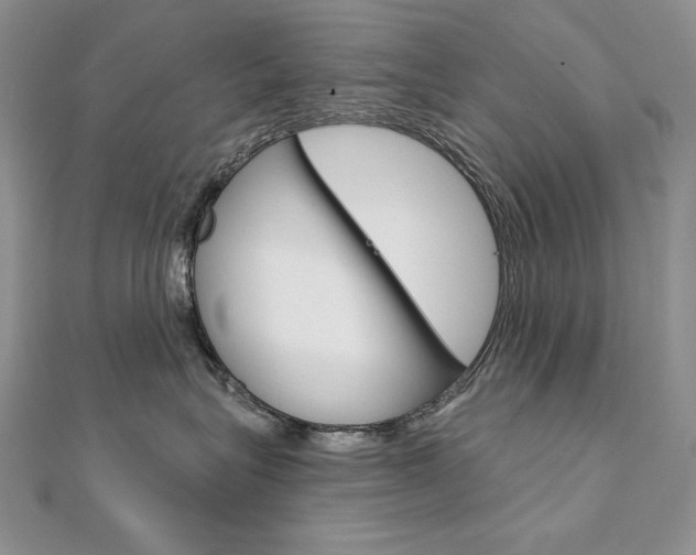 X0000112020575200908031044