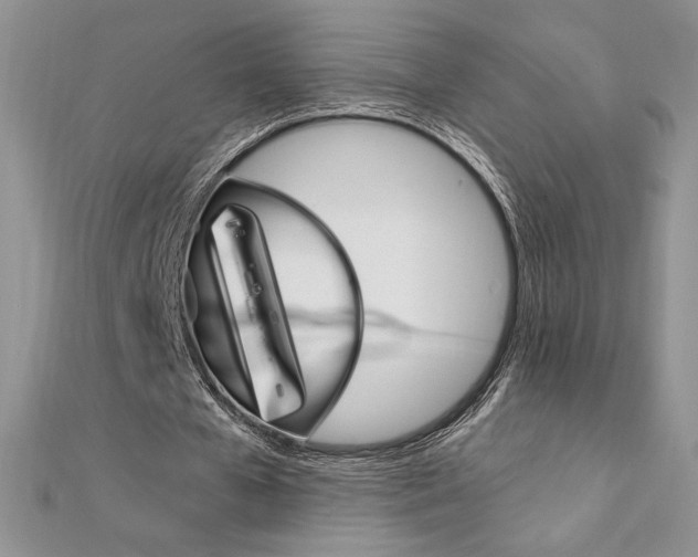 X0000112020577200908031043