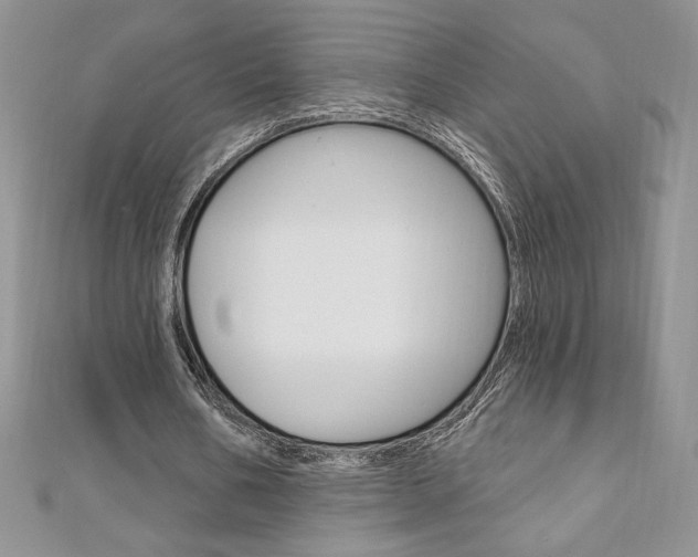 X0000112020578200908031043