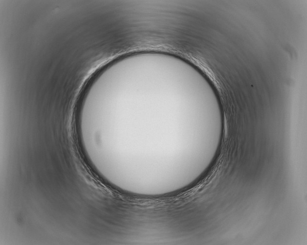 X0000112020579200908031043