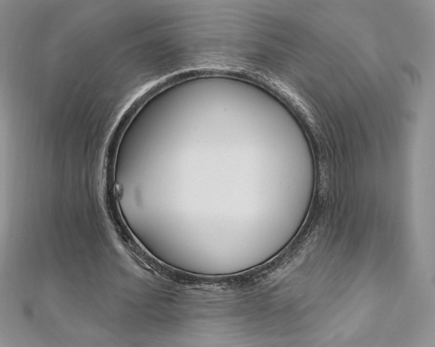 X0000112020580200908031043