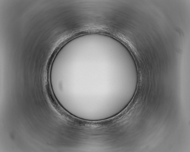 X0000112020582200908031043