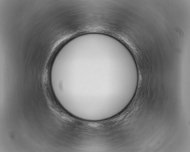X0000112020583200908031043