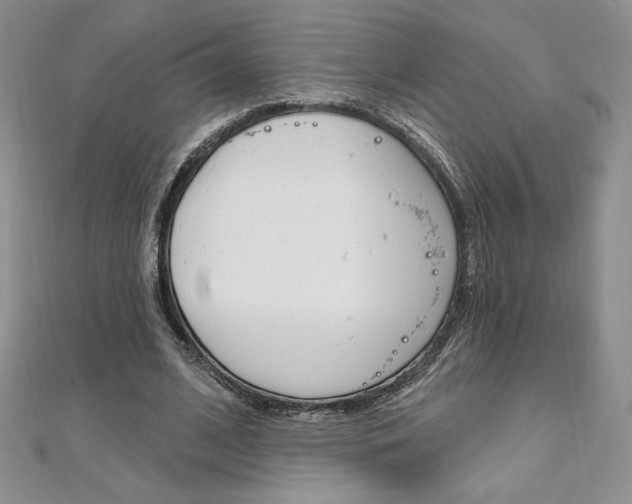 X0000112020584200908031043