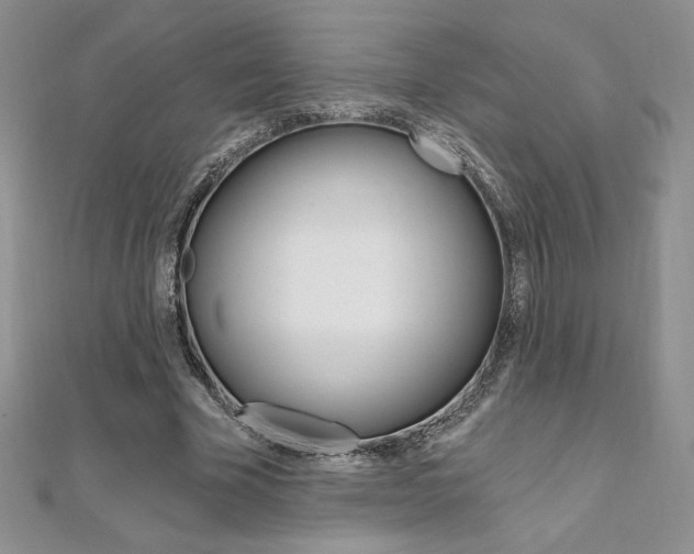 X0000112020585200908031043