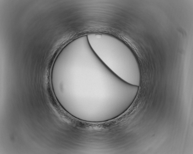 X0000112020586200908031043