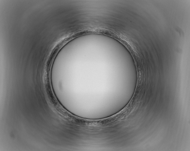 X0000112020587200908031043