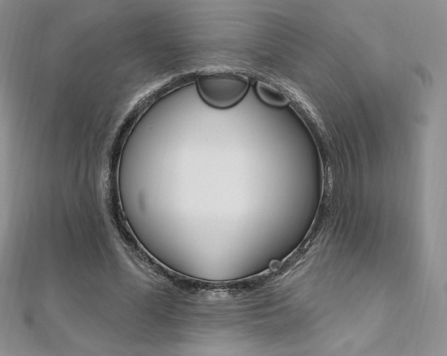 X0000112020588200908031043