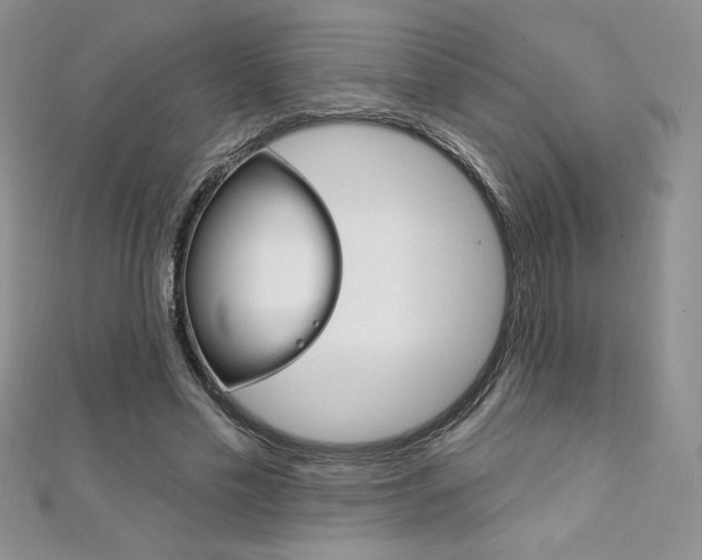X0000112020589200908031043