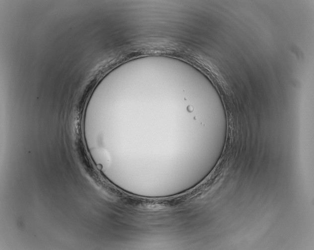 X0000112020590200908031043