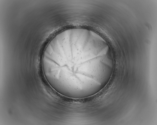 X0000112020592200908031043