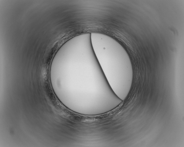 X0000112020595200908031043
