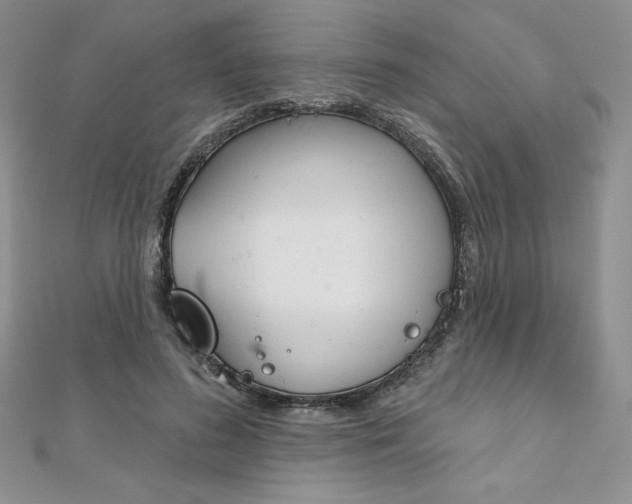 X0000112020596200908031043