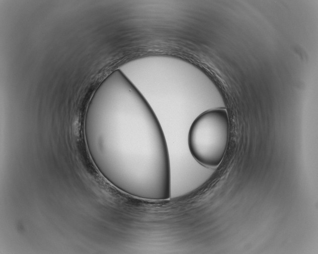 X0000112020597200908031043