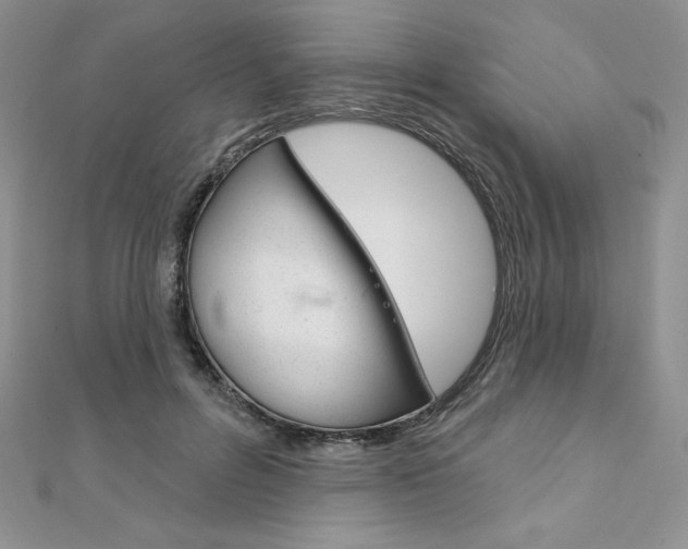 X0000112020600200908031043