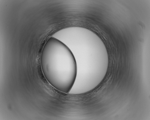 X0000112020601200908031043